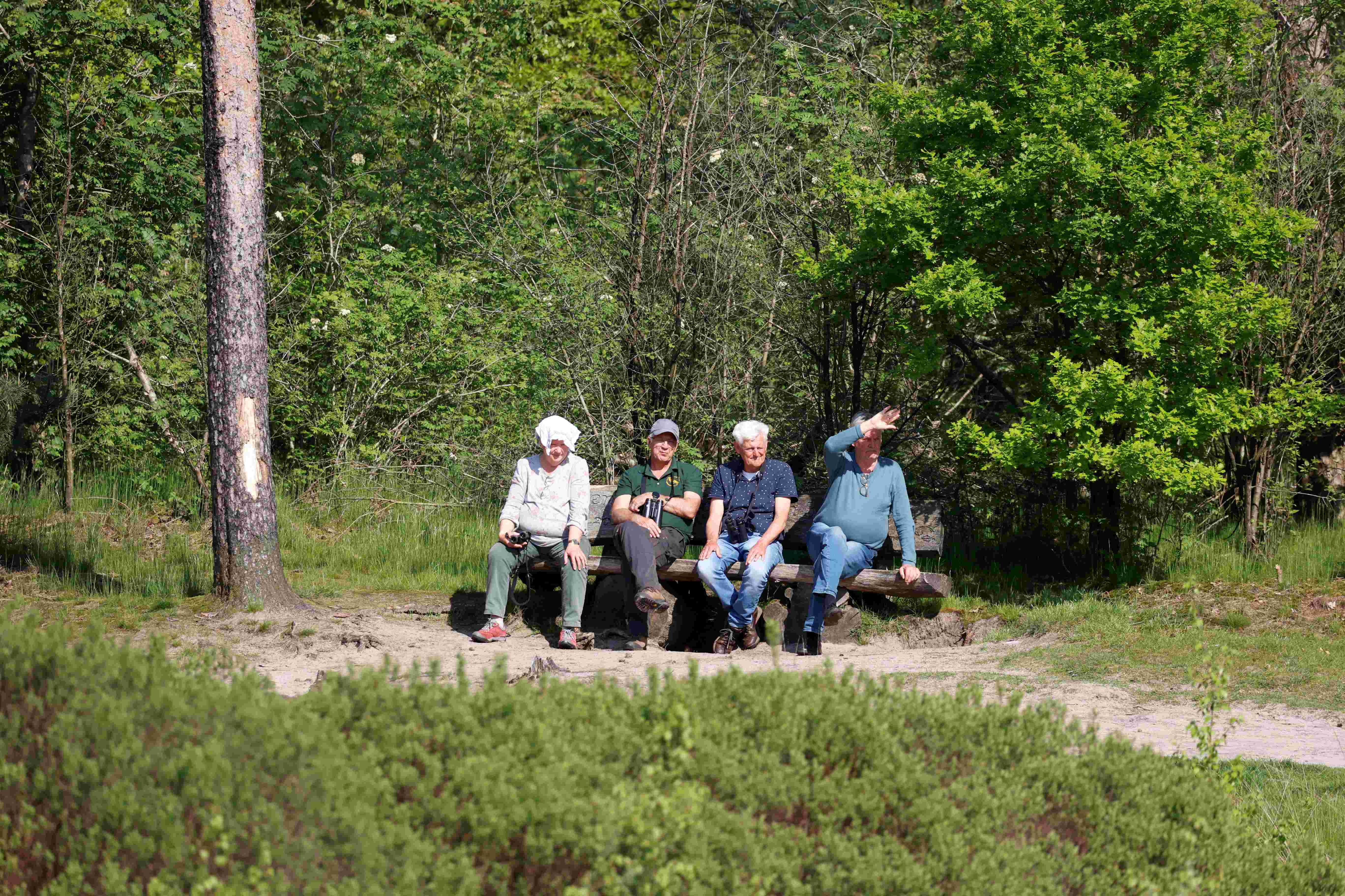Leugenbankje (Kampina). Foto van Gerda van der Meer.